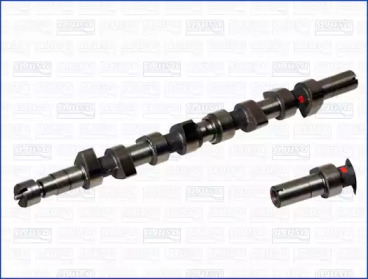 WILMINK GROUP wg1170841 -  Распредвал